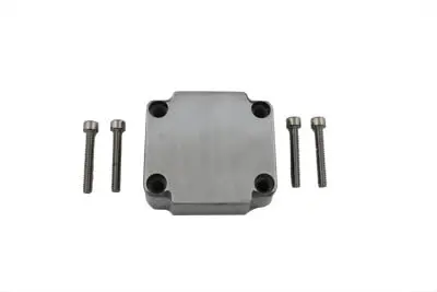 Handlebar Control Switch Cover Smooth Polished - V-Twin Mfg. 1