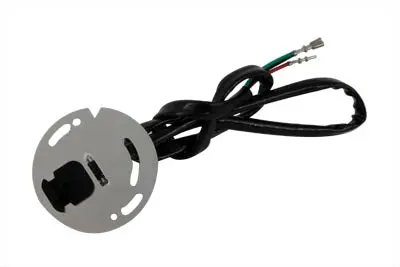 Ignition Sensor Plate Assembly - V-Twin Mfg. 1