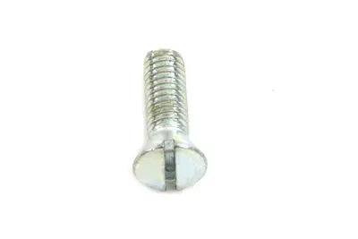 Transmission Bearing Retainer Screws Zinc - V-Twin Mfg. 1