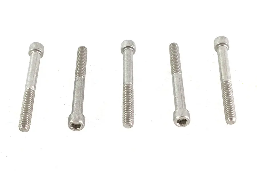1/4 Inch-20 X 2-1/4 Inch Allen Socket Cap Screw Stainless St - V-Twin Mfg. 1